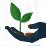 Value investment icon - a hand holding a growing sapling